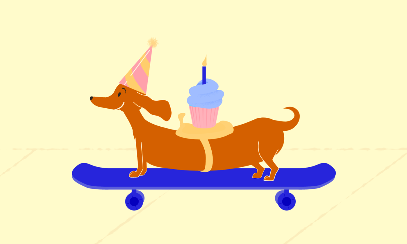 animation  2D Animation After effect Daschund dog Pet party Birthday cupcake skateboard
