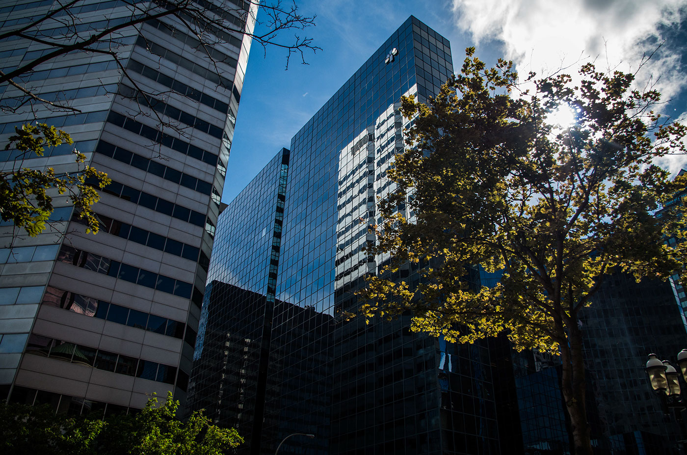 Montreal walk Photography  city buildings