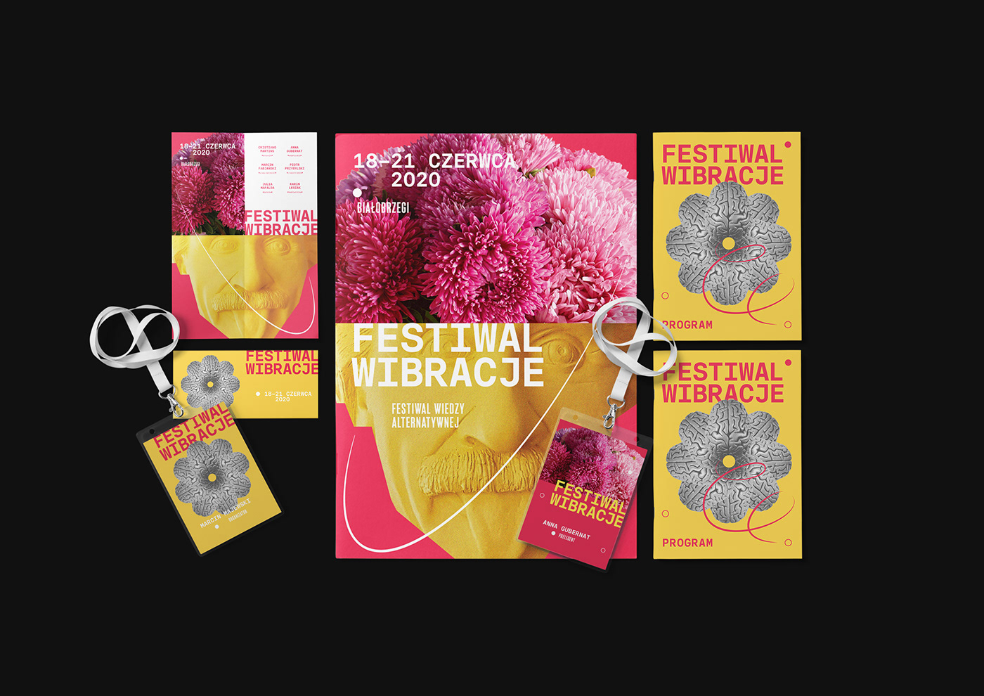 einstein festival flower power graphic design  lifestyle poster Poster series print series visual identity