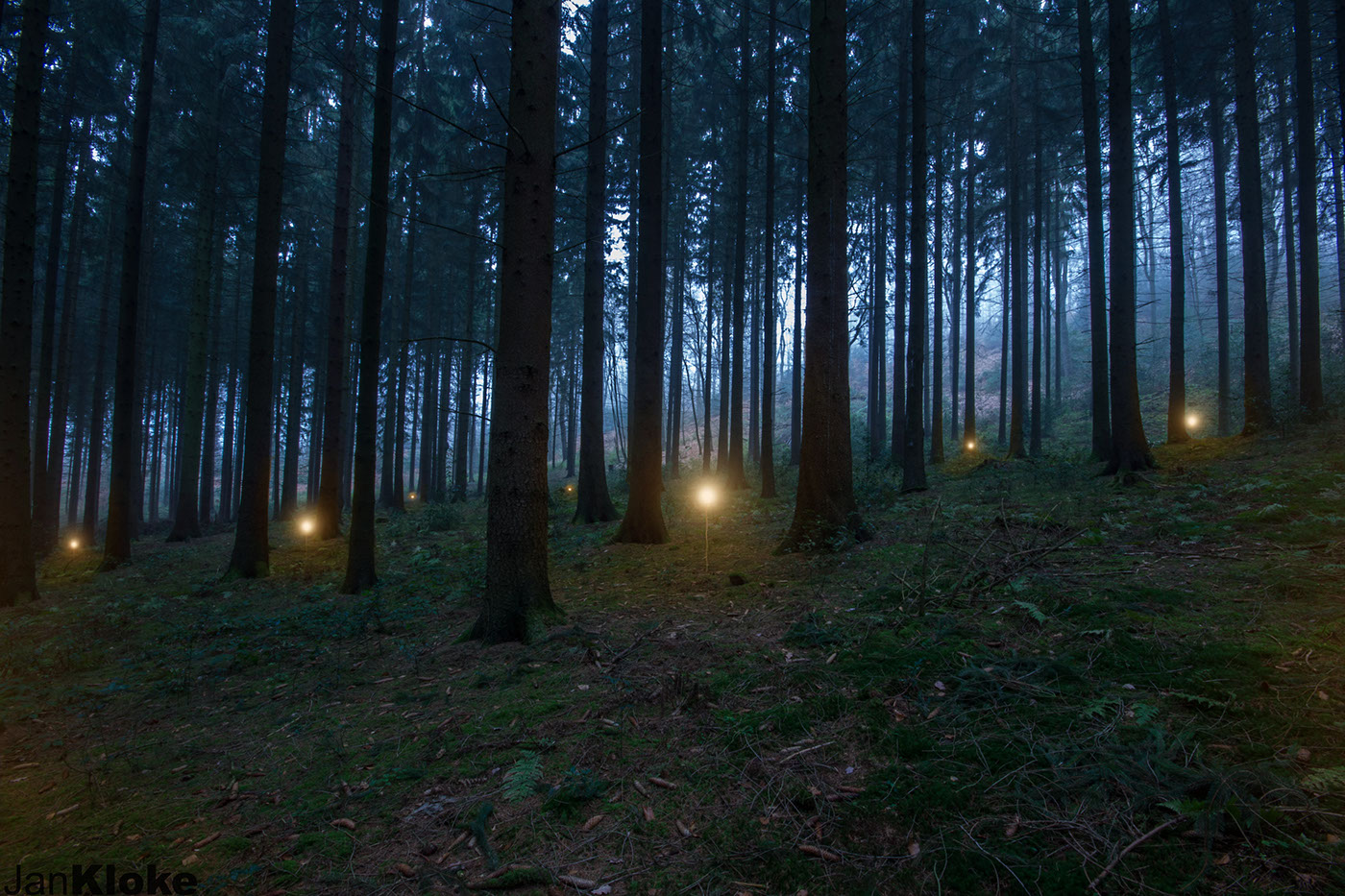 jan kloke misty forest mist wood woods dark night Lamp bulb light Spot fairytale fairy
