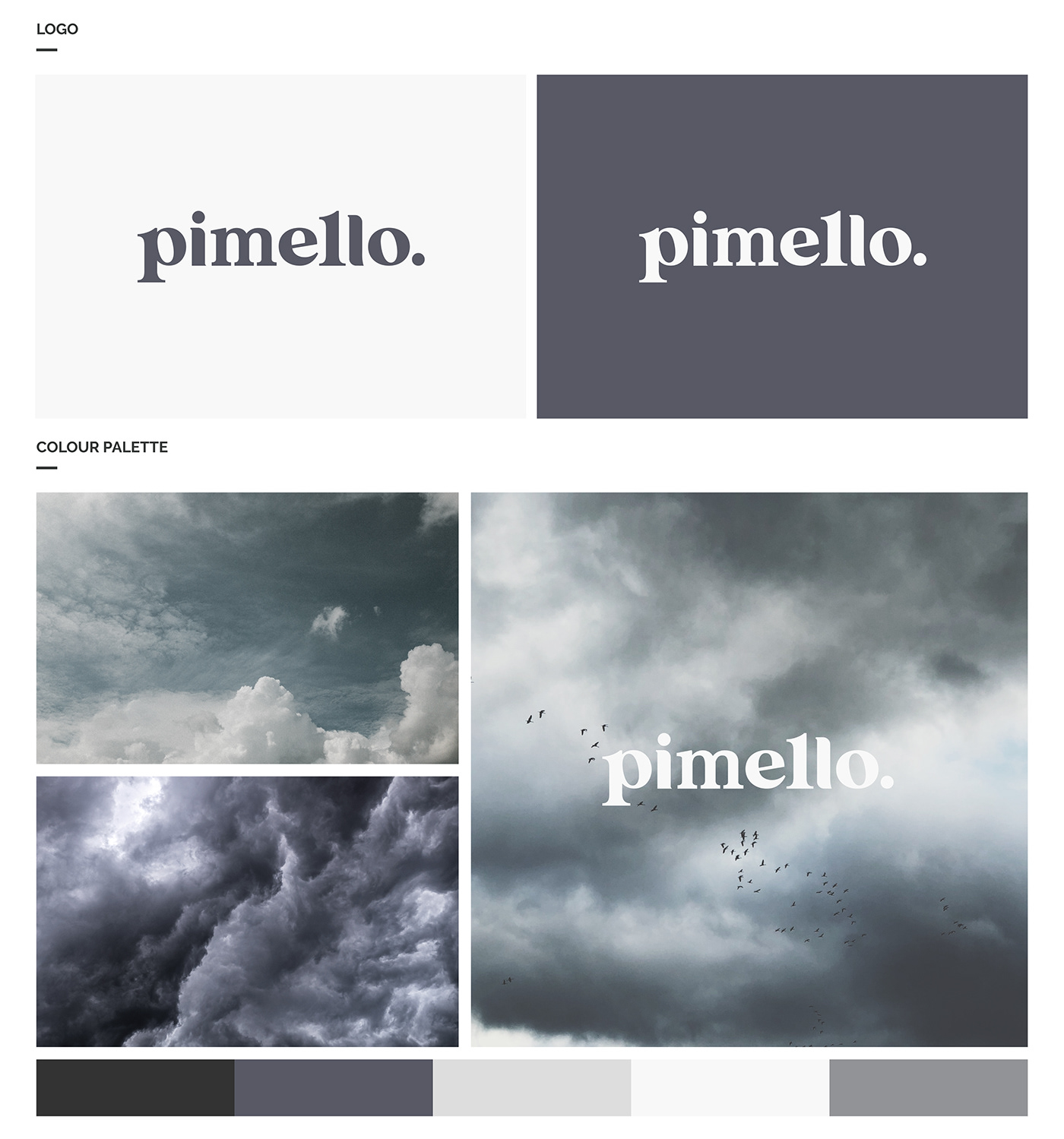 branding  colour palette design Layout logo social media Website Design