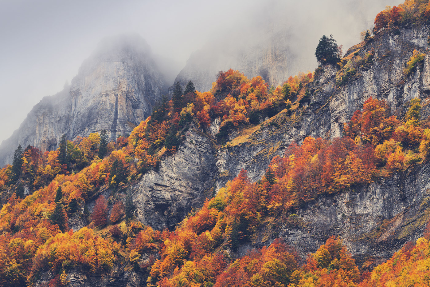 autumn colorful foliage Landscape mountains Nature Outlook river valley waterfall