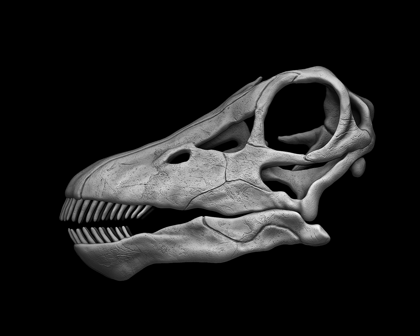 bone Dino Dinosaur paleoart paleontology prehistoric Sculpt skull t-rex Digital Art 