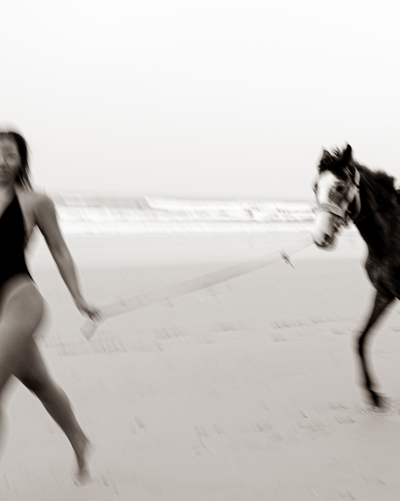 beach Photography  black and white horse Taghazout Agadir Casablanca Marrakech Adobe Portfolio Behance