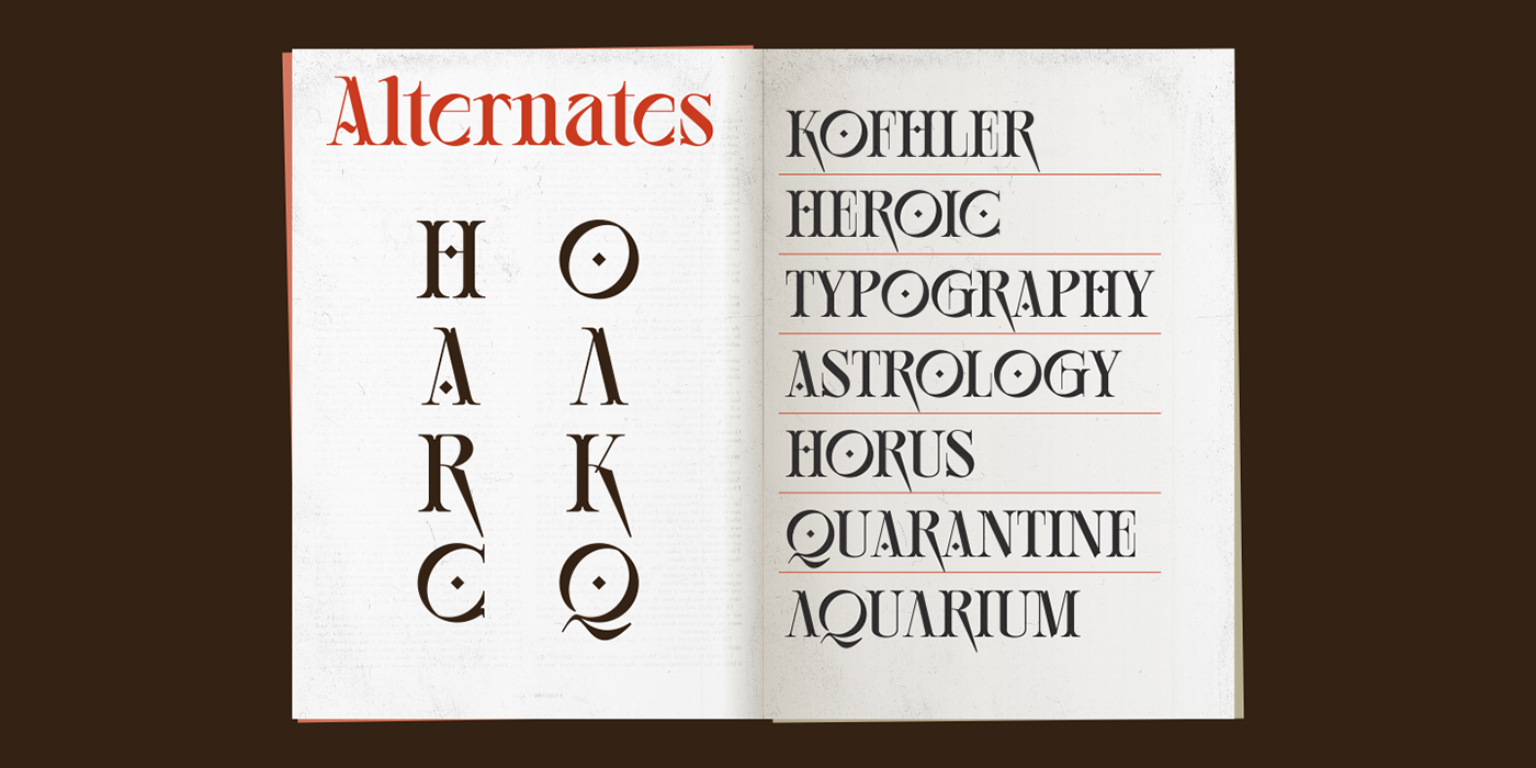 alternates branding  Display font Ligatures Retro serif type Typeface typography  