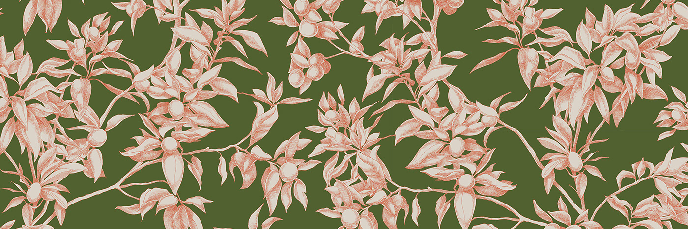 pattern olive hand drawn Drawing  ILLUSTRATION  wallpaper textile fabric print pattern design 