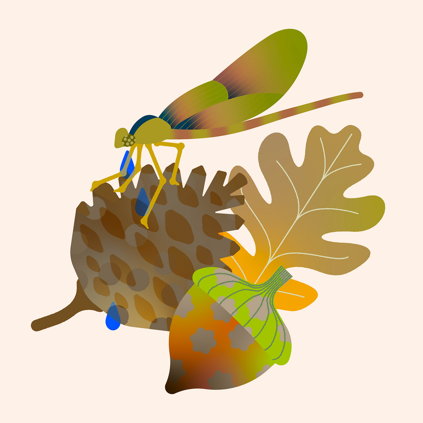 adobe illustrator bugs Hedger hedgerart ILLUSTRATION  thomashedger vases vector