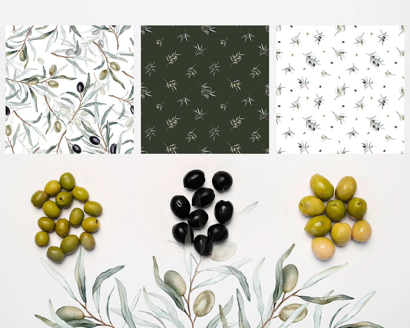 olive watercolor artwork green olives black olives oil