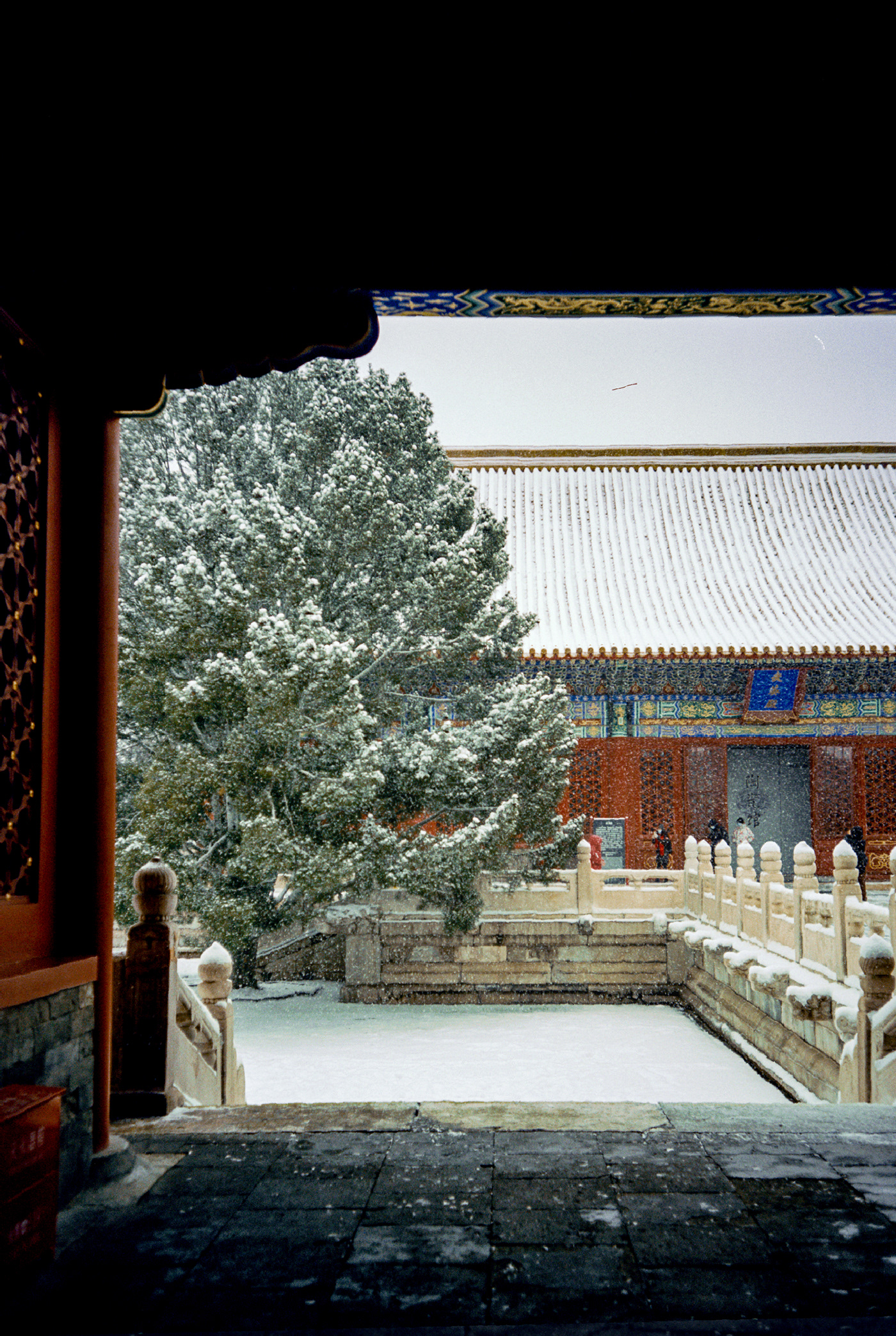 Ancient architecture Beautiful beijing china china red cultural relic Forbidden City snow