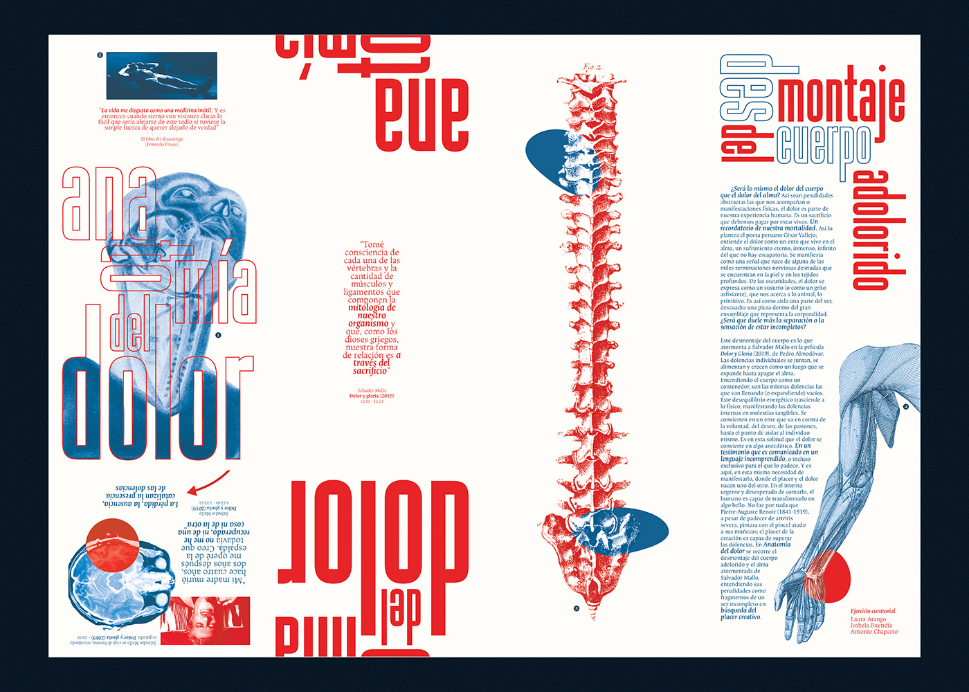 Almodovar catalogo diagramación editorial anatomy body anatomical dolor Dolor y gloria pain