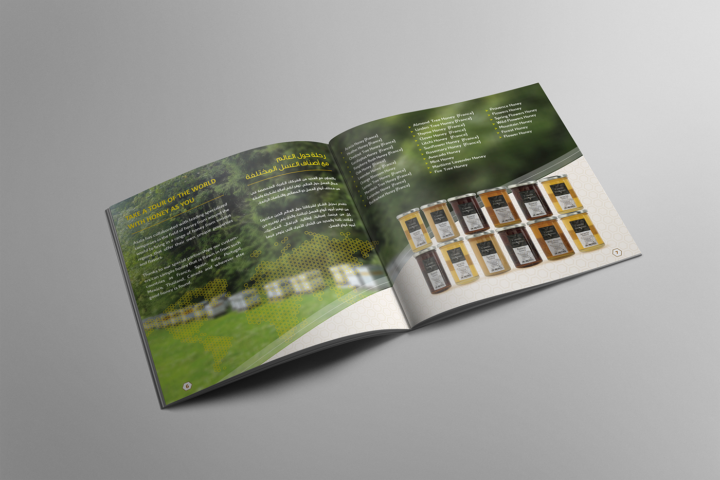 Square Catalog brochure design honey photoshop Illustrator