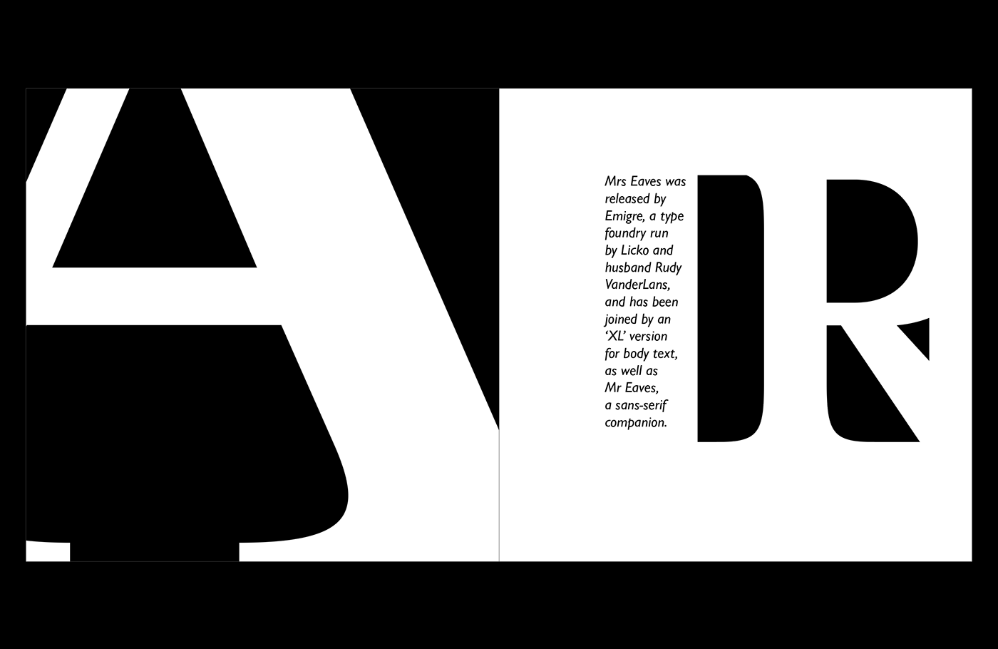 graphic design  book typography  