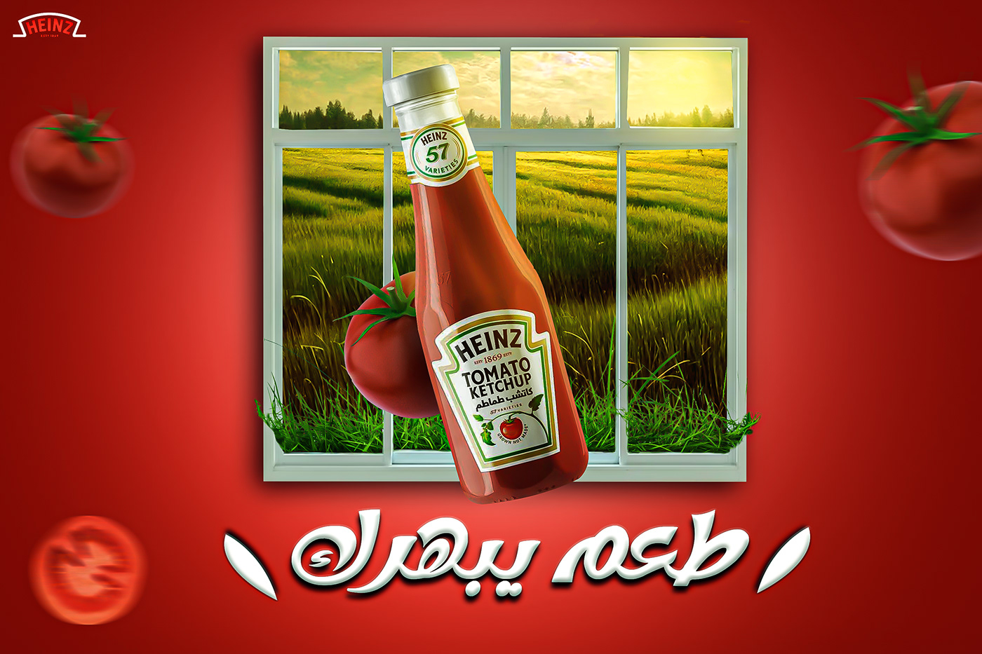 heinz ketchup Food  restaurant Social media post Graphic Designer visual identity