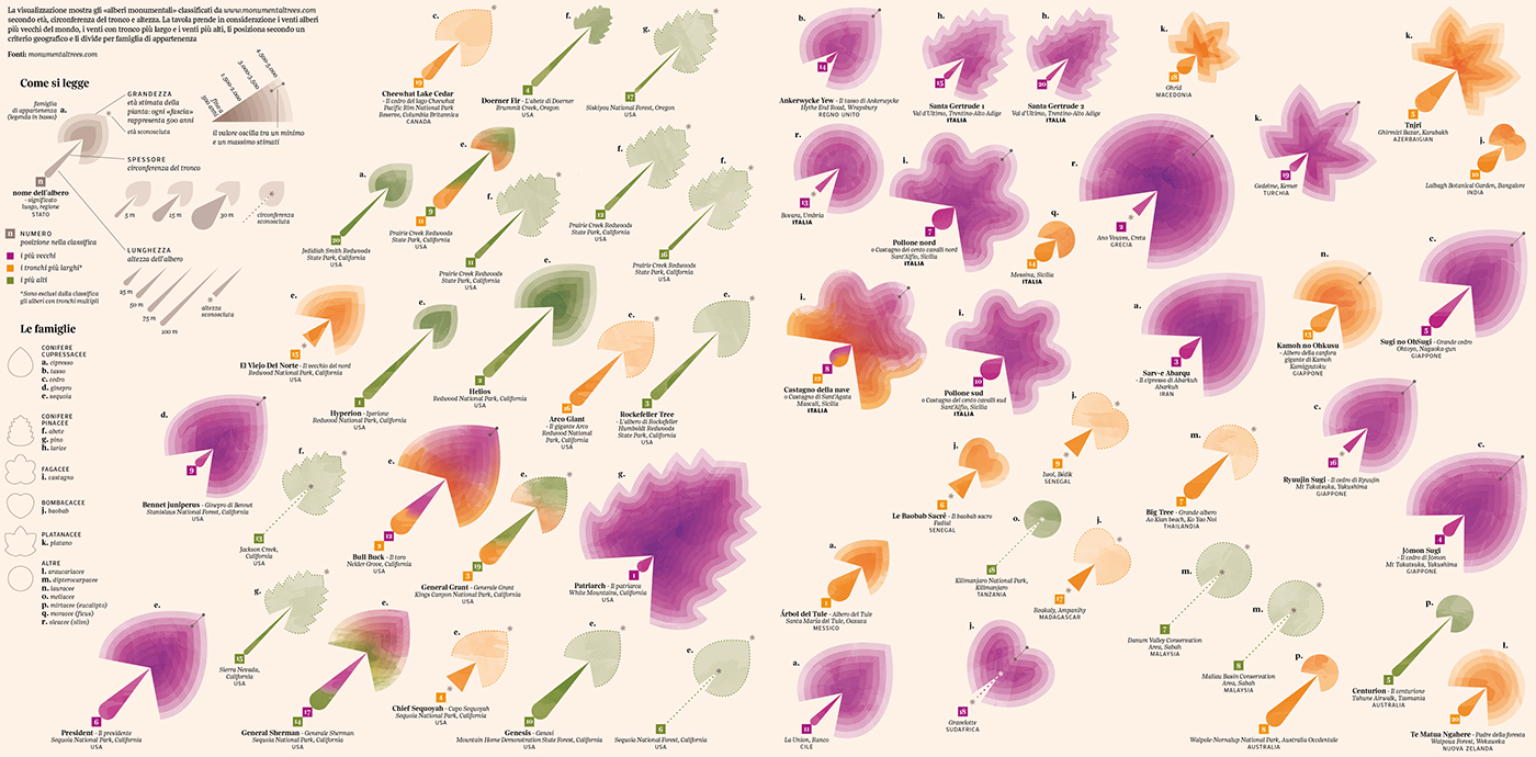 Tree  green dataviz DATAVISUALIZATION forest leafs autumn Fall lalettura red