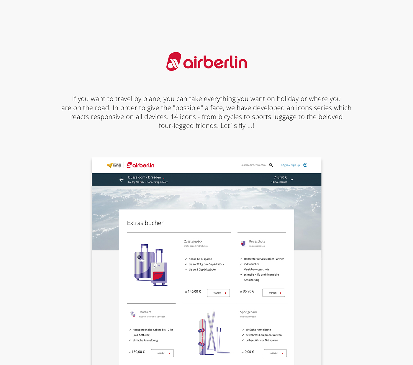 airberlin colorful airplane berlin Responive icons Website sport baggage ILLUSTRATION 