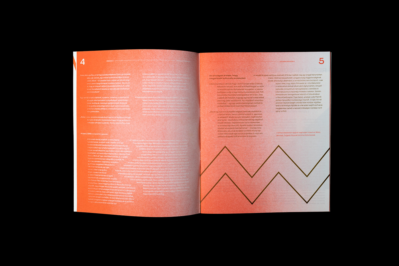 editorial graphic design  magazine periodical print risograph Zine  zinezo