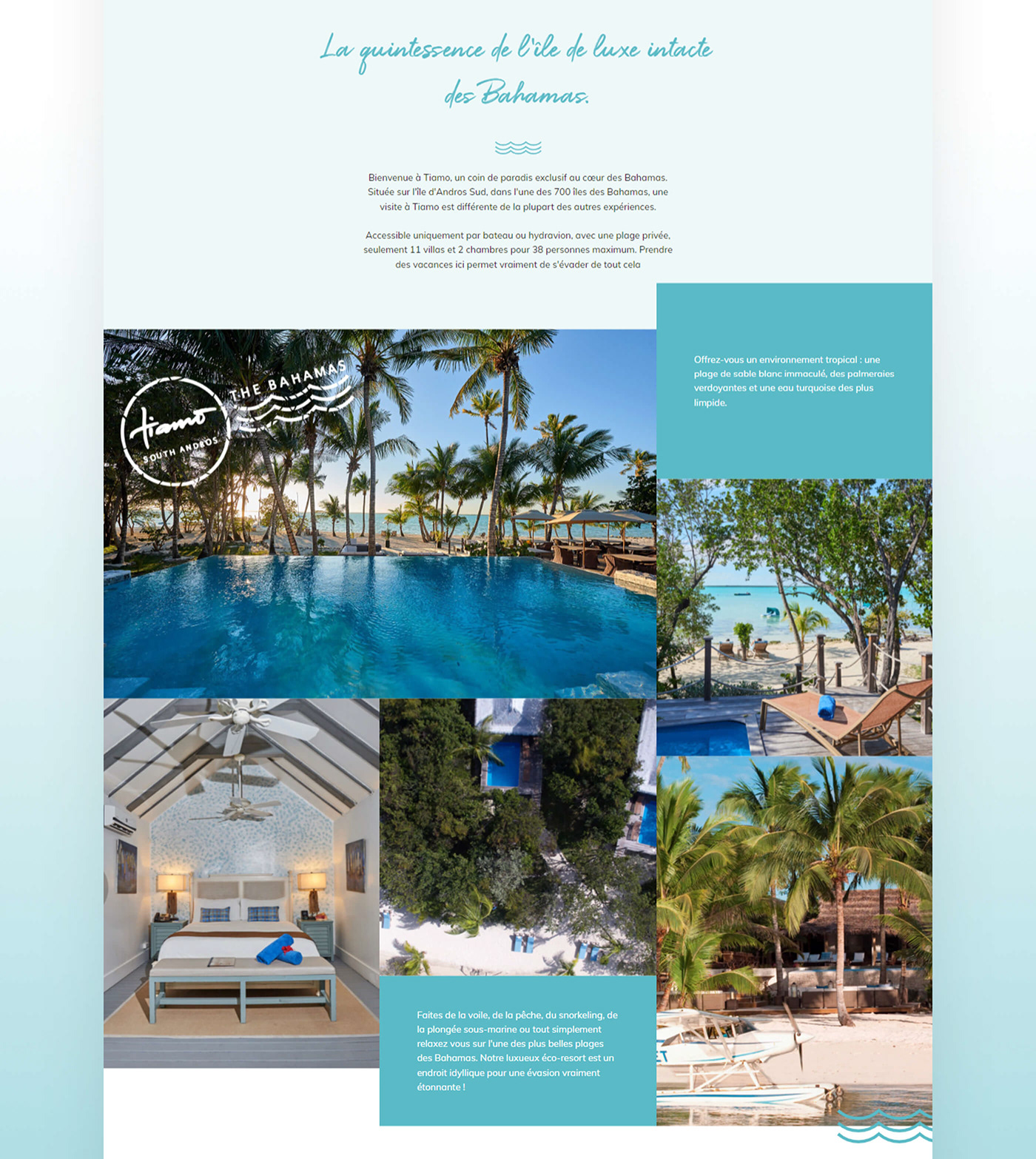 Bahamas beach hotel ui design UX design Web Design  web development  Webflow