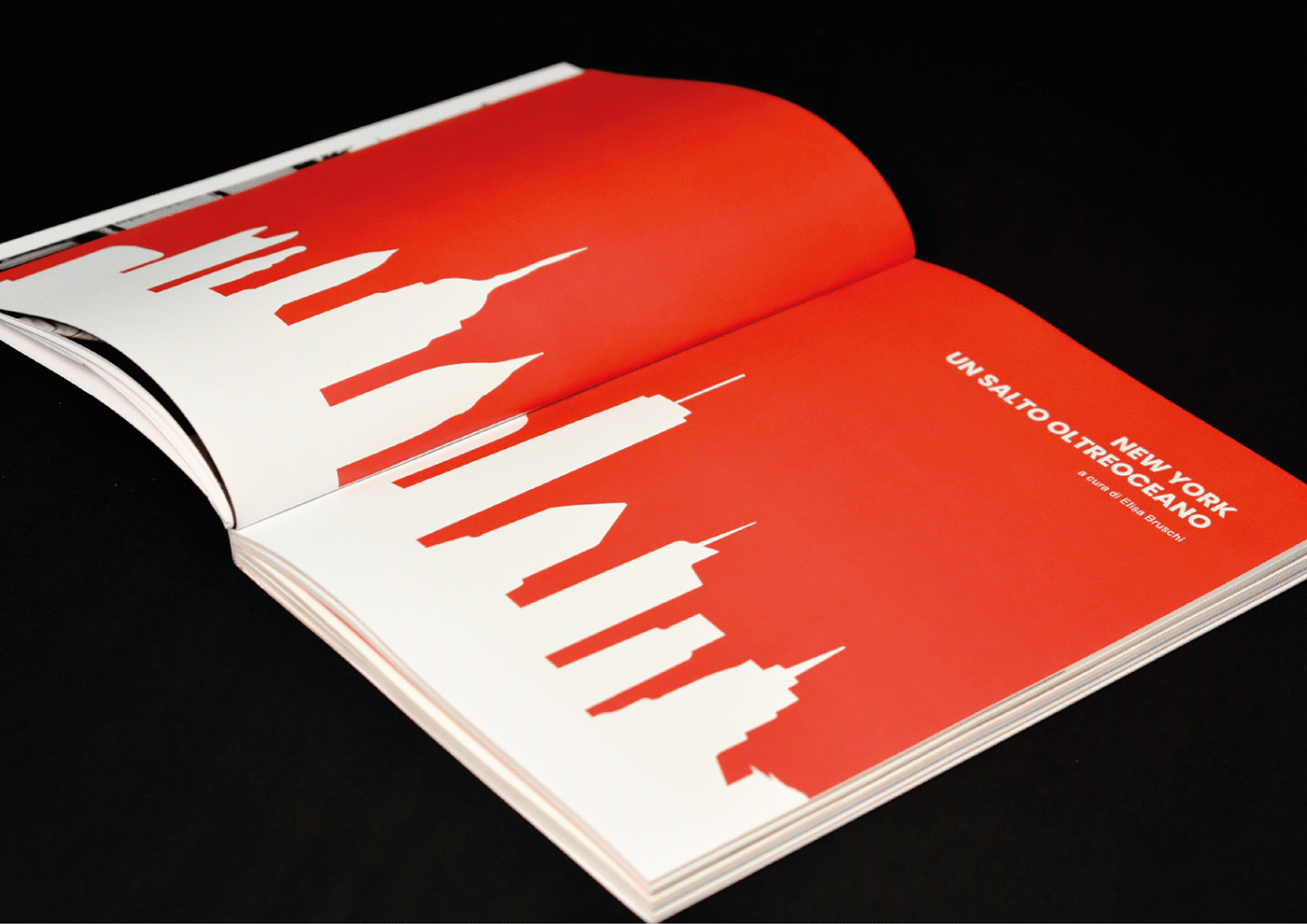 Armando Milani designverso editoria InDesign laboratorio di fondamenti Layout magazine polimi Poster Design typography  