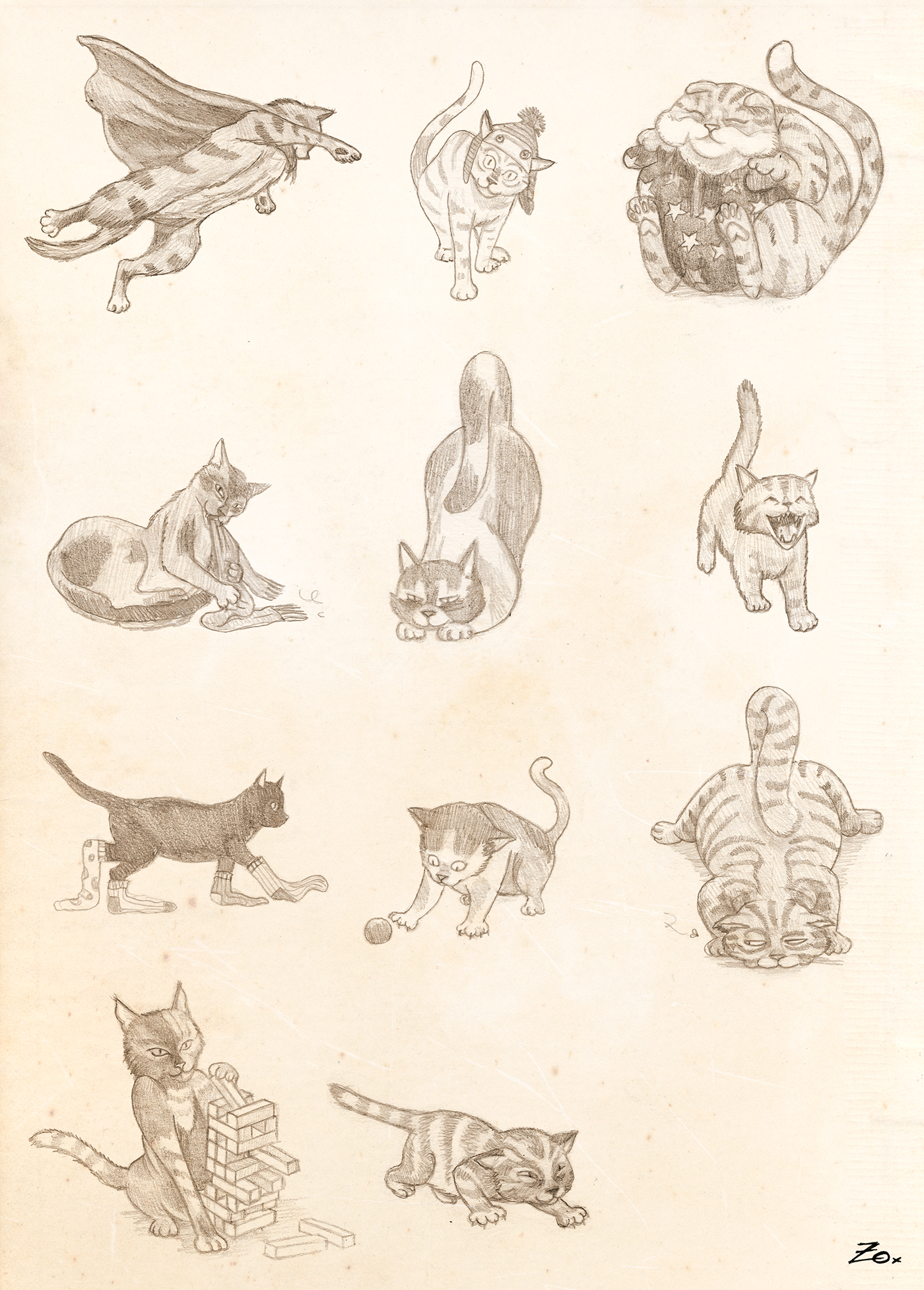 illustrated album Album Ilustrado ilustracion ILLUSTRATION  cats gatos