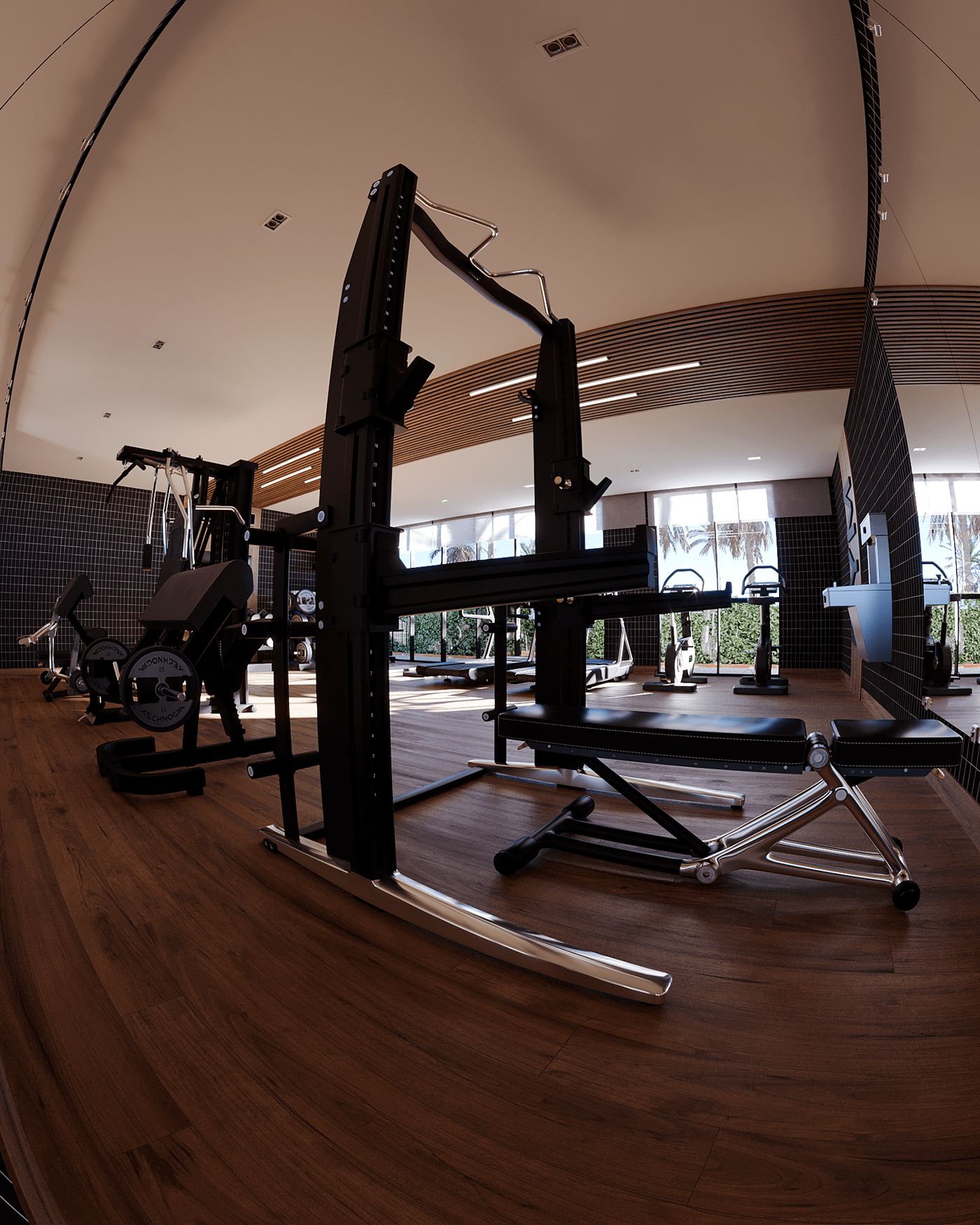 3D 3dsmax academia architecture archviz corona gym interior design  Render visualization