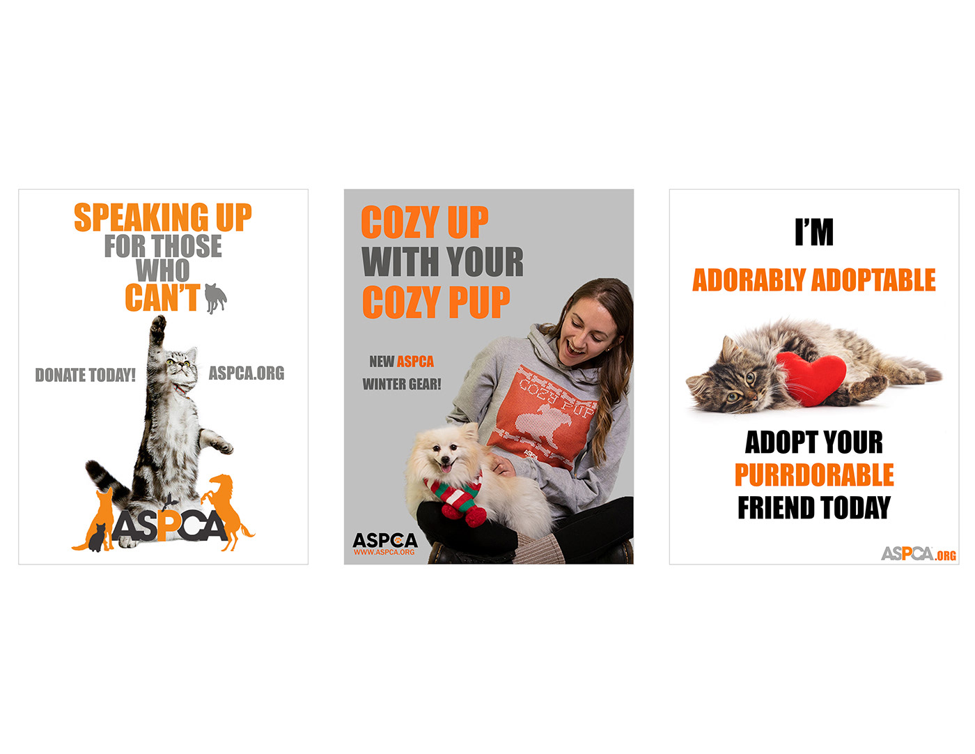 Advertising  animals Cat pets Poster Design typography  