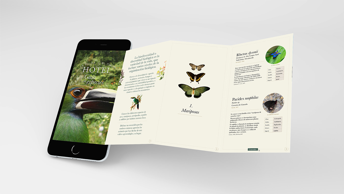 digital design graphic design  editorial Nature colombia Education conservation Sustainability environment