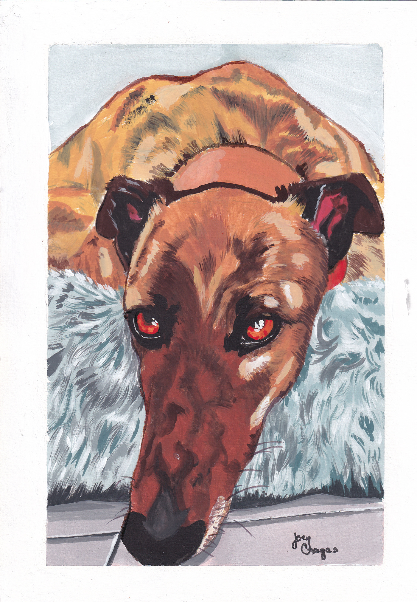 dog dogpainting dogportrait GALGO gouache painting greyhound painting   paintingpaper traditional