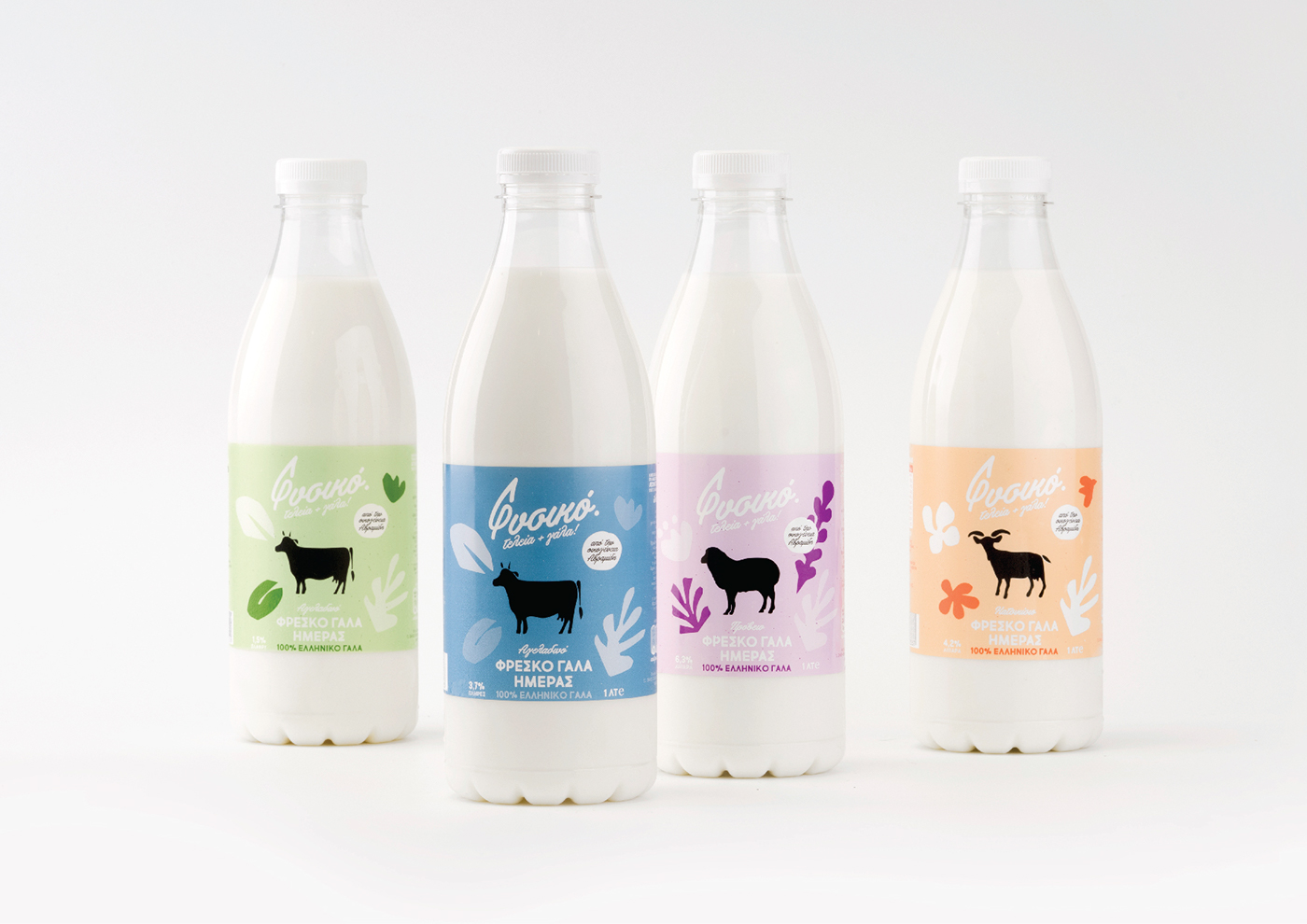 milk fresh bottle White natural greek sophiagdotcom sophia georgopoulou design Dairy Henri Matisse