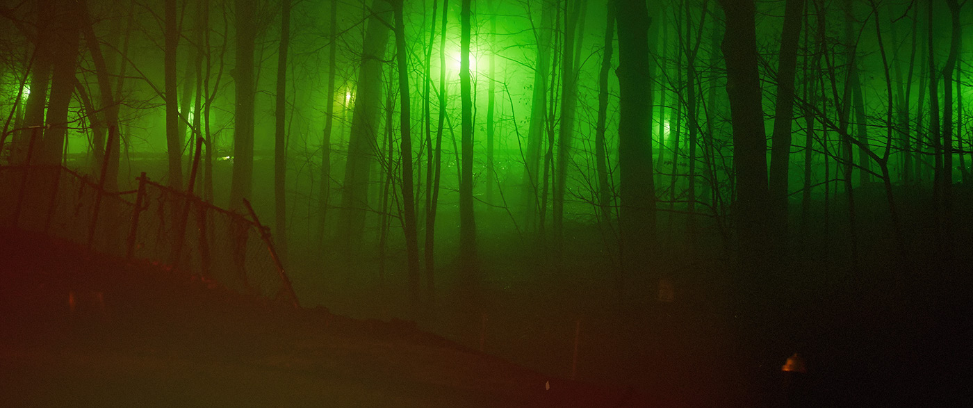 wood mist fog lights Tree  night Leica movie mystery deer