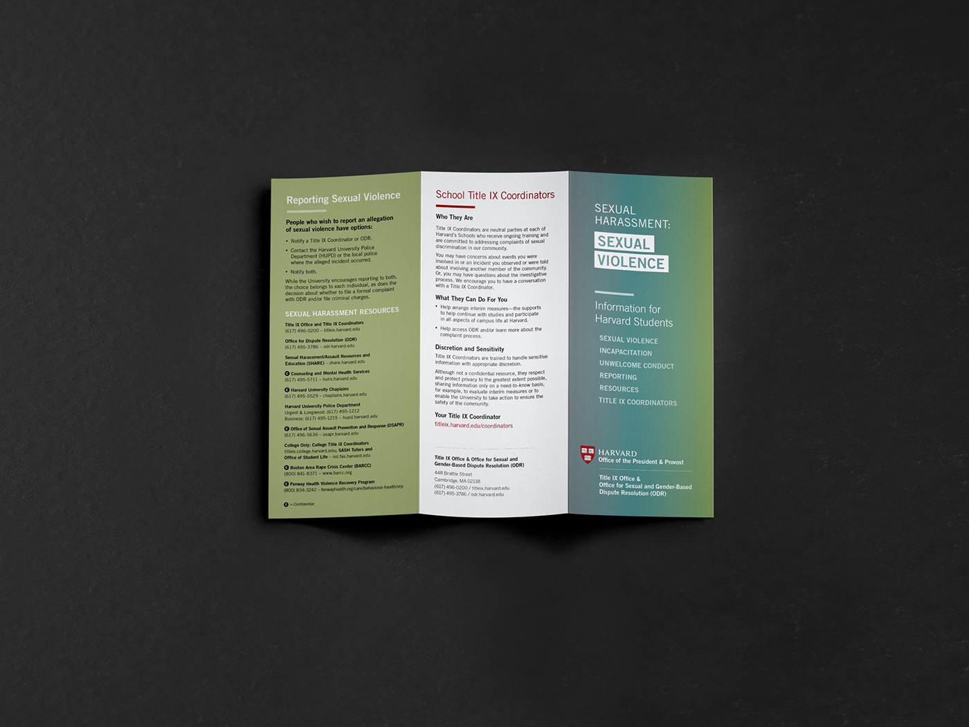 Harvard campaign awareness Website brochure Interface ux UI college Web Design 