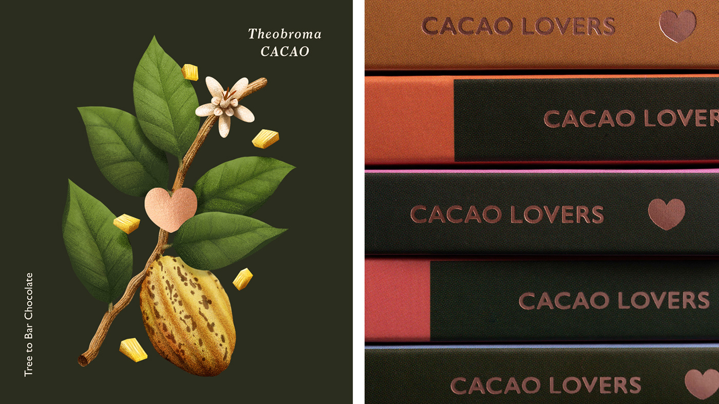 cacao cacao lovers chocolate peru organic Nature