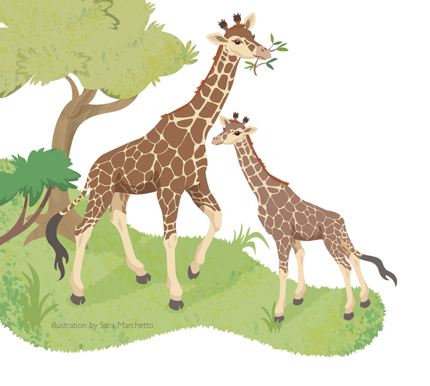 animals Digital Art  Vector Illustration Character design  children book kids orangutan zebra giraffe lion