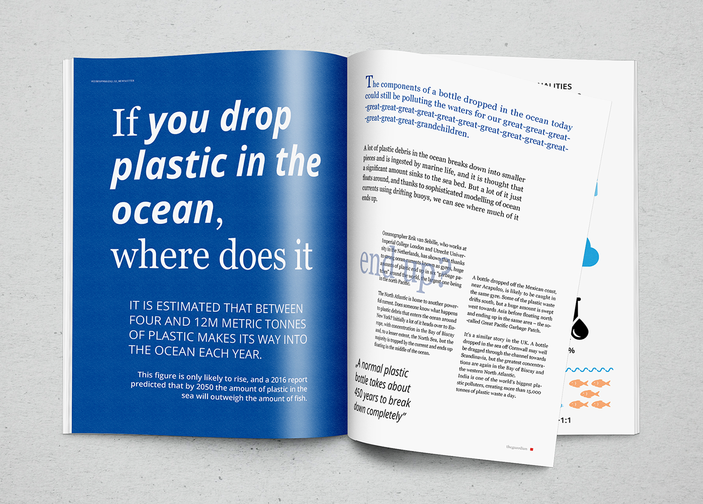 magazine print newsletter Communication Design design cover environment