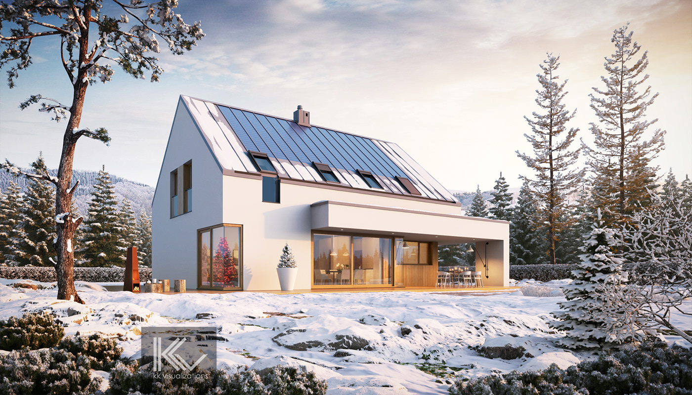 house modern stylish simple realistic visualization mood winter scenery summer