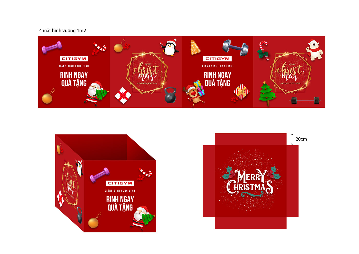 branding  Christmas citigym graphic design  sparkling VDTRUONG