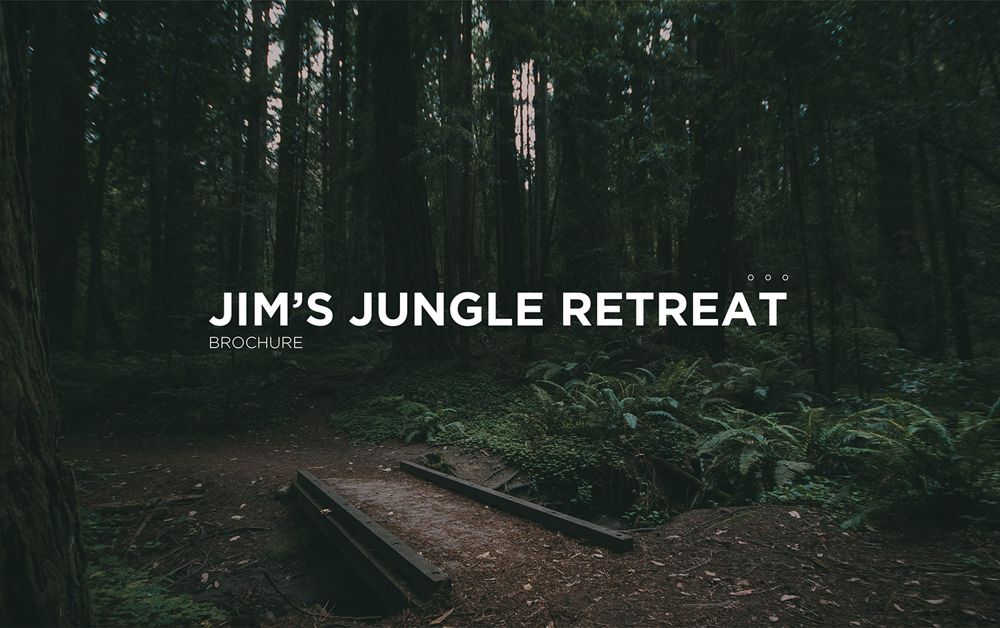 jim's jungle retreat jjr butterflly Zine  brochure design Green Goose Design graphic design  Layout Design