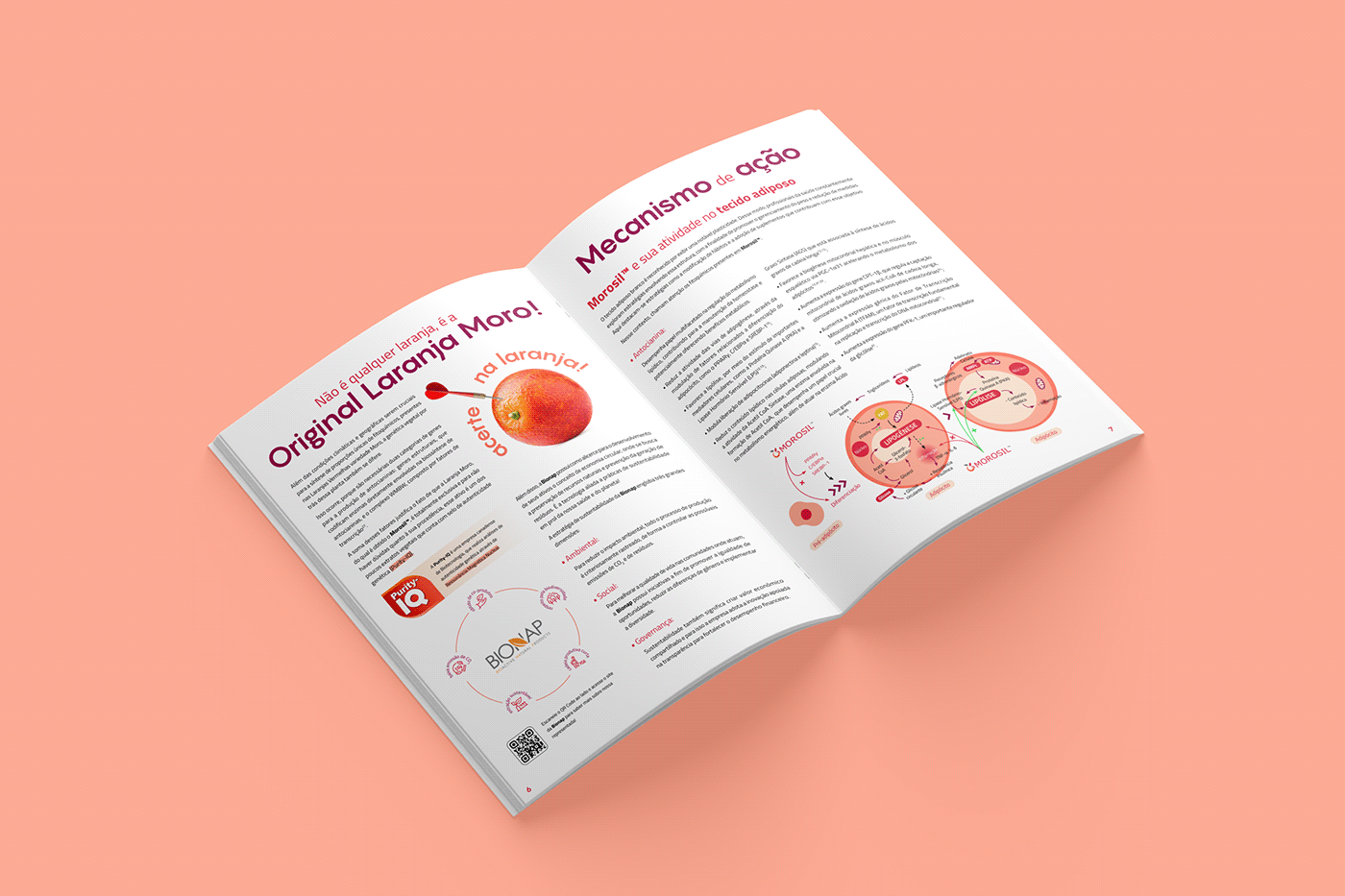 magazine Layout brochure Mockup pharmacy nutraceuticals Weight loss weight infographic morosil