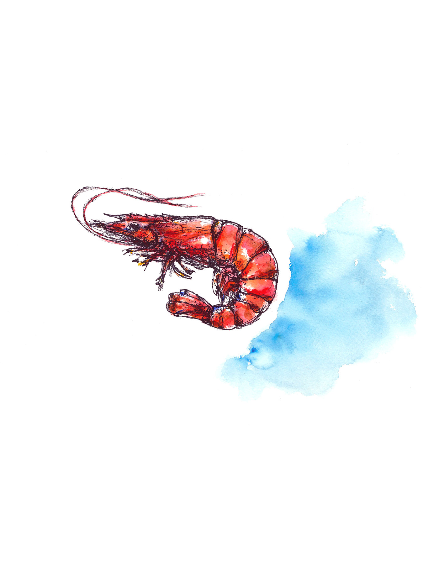 watercolor crab shrimp lobster menu scores