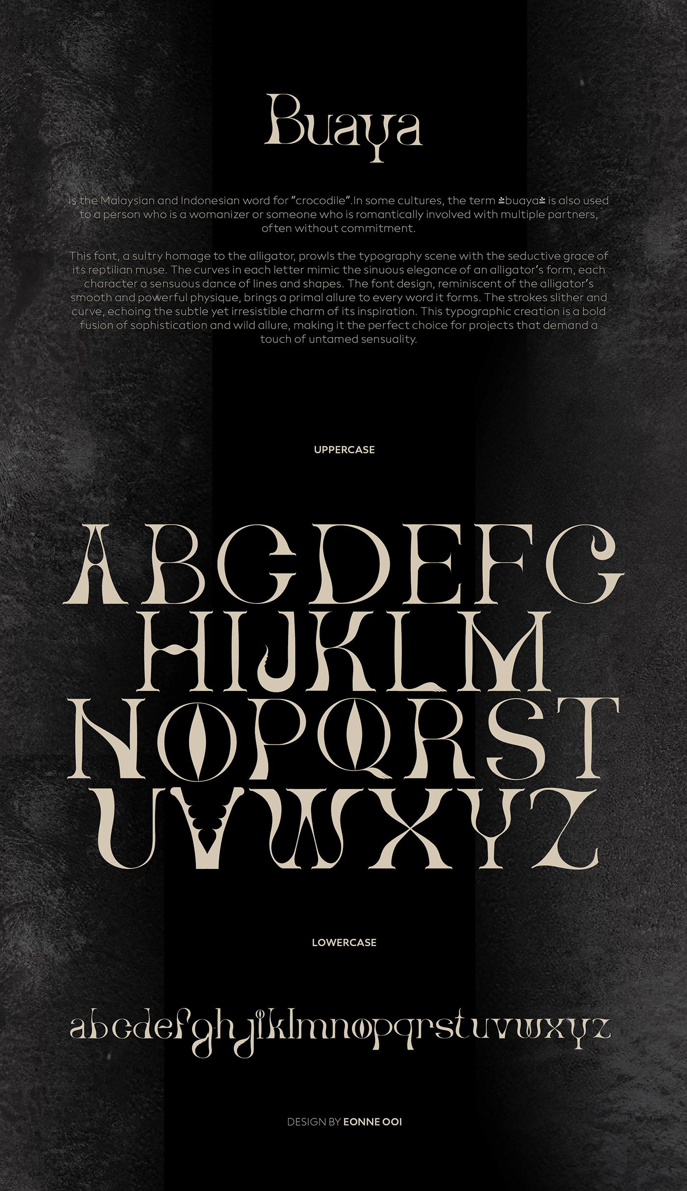 serif Serif Font aligator crocodile font logo identity Logo Design brand identity Graphic Designer