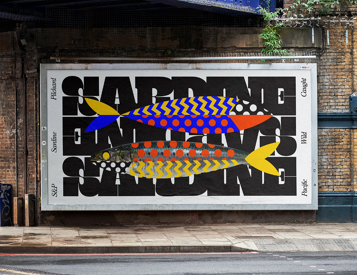 graphic design  sardines branding  brand identity typography   fish posters adobefonts