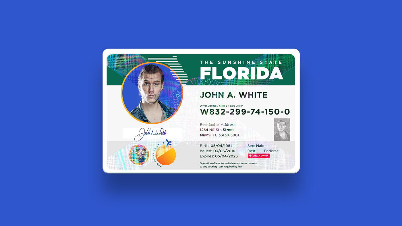 flordia drivers license check