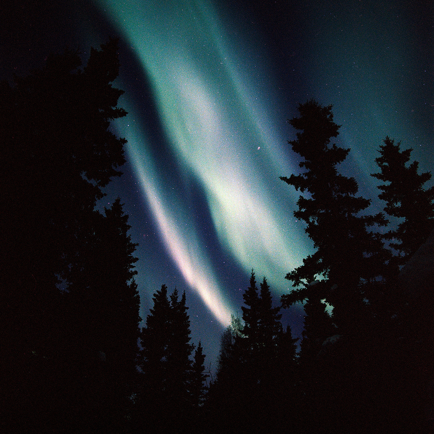Landscape aurora Northern Lights Nature Alaska Nightscape Film  