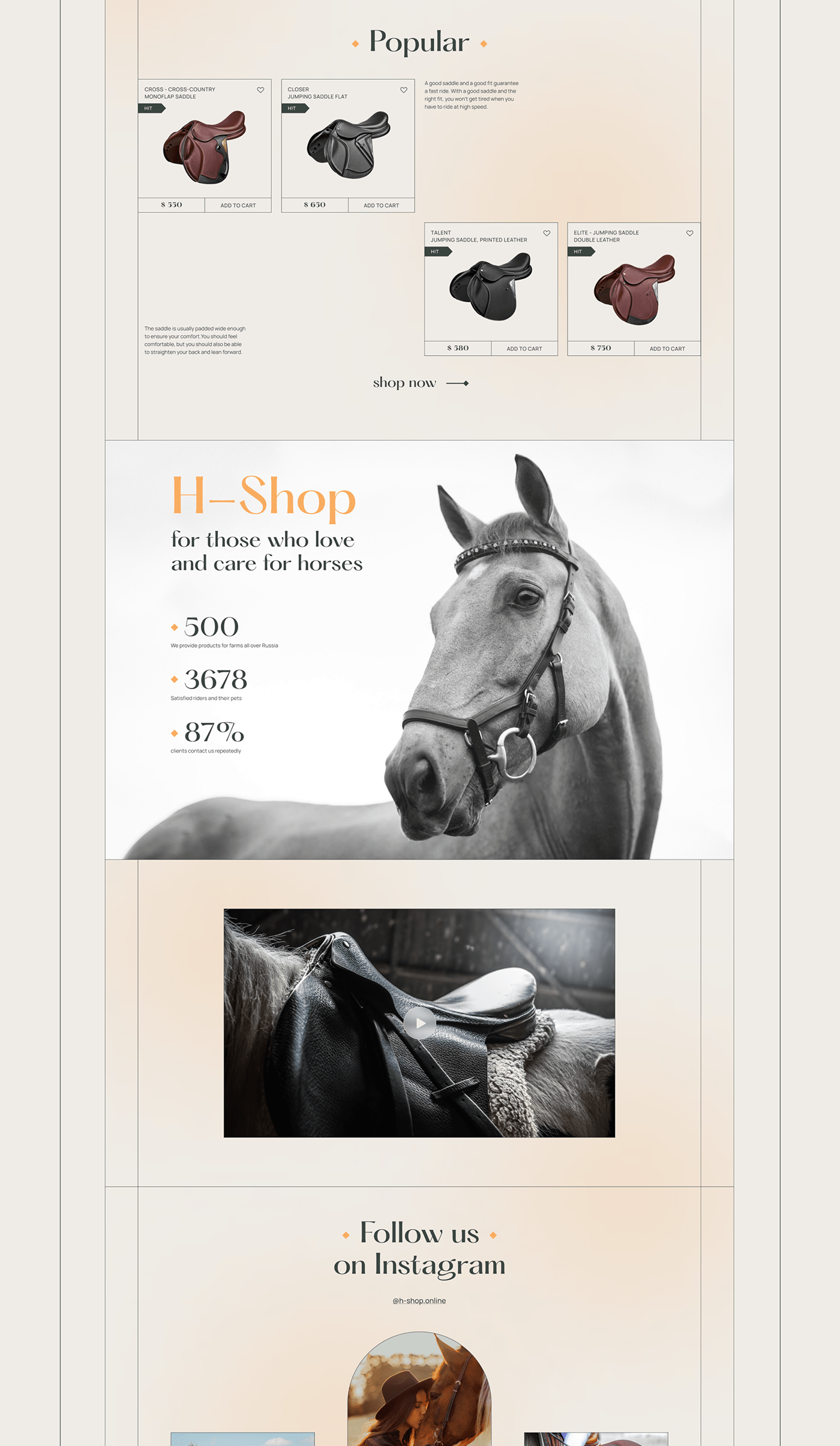 Ecommerce equestrian horse Online shop online store UI/UX Web Design  веб дизайн животные интернет магазин