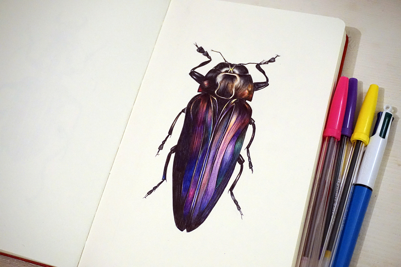 biro ballpointpen ballpoint beetles moleskine Drawing 