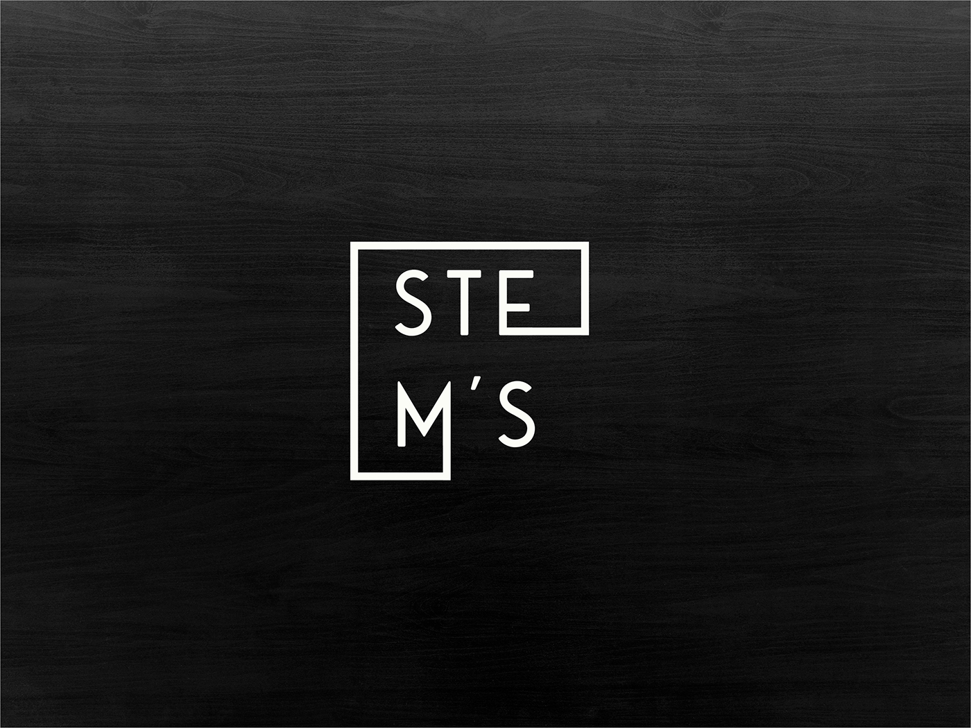 logo Stem’s design branding  logo 2018