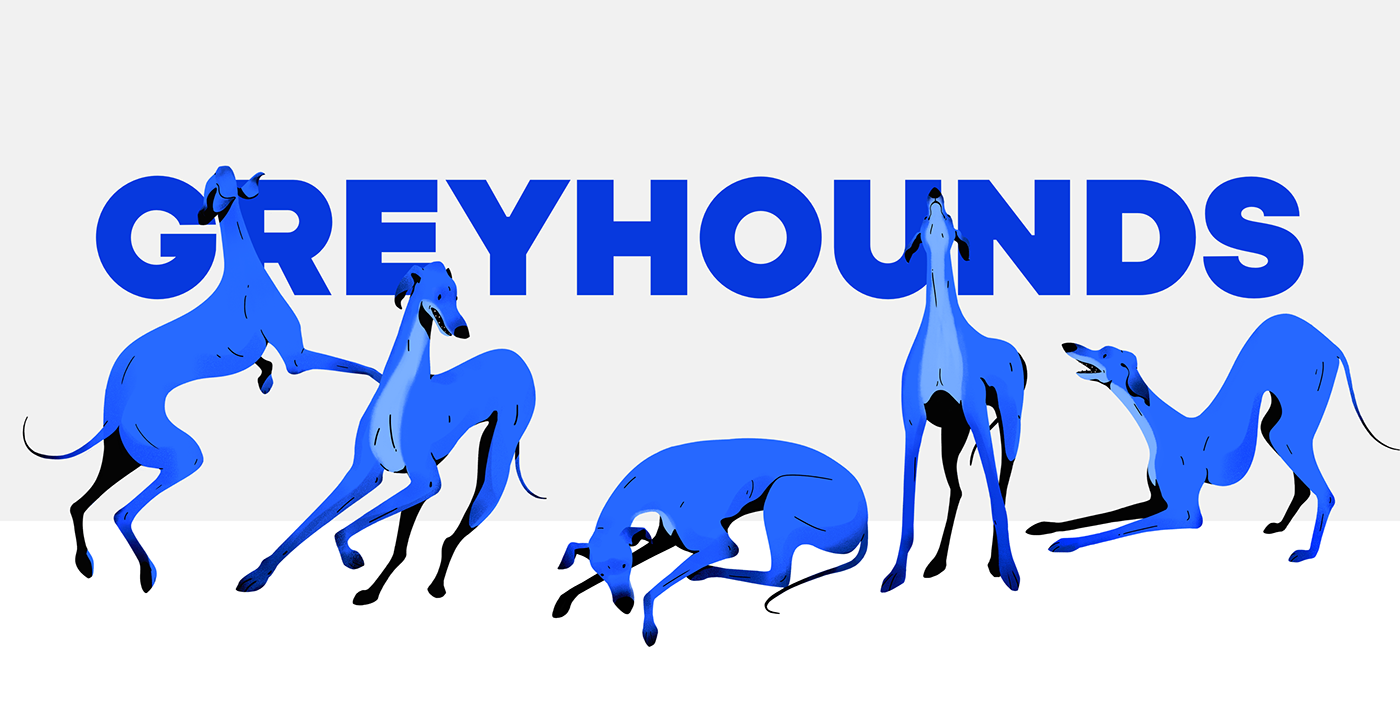 ILLUSTRATION  dog greyhound prints poster pose series animal minimal simple