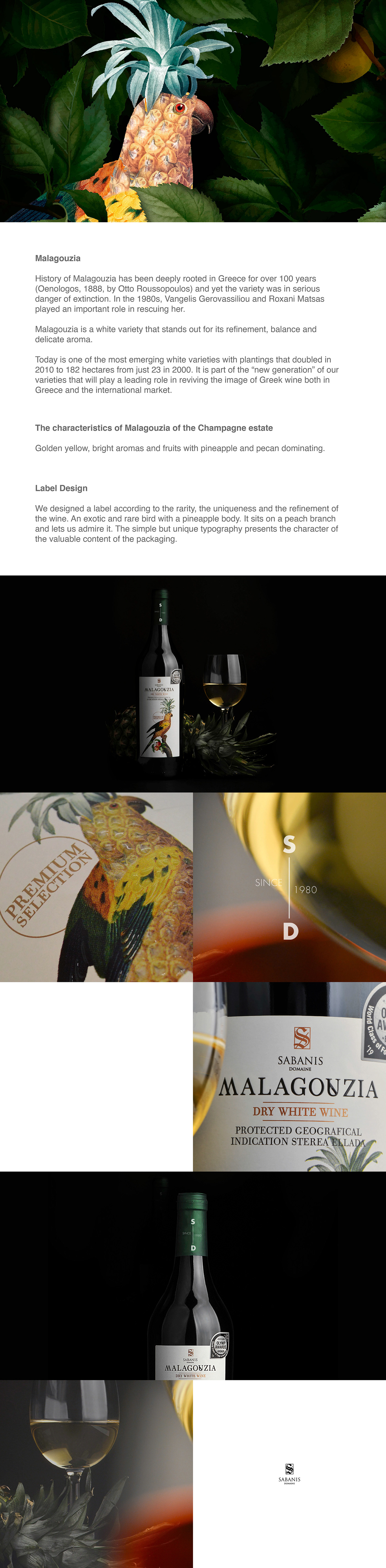 art artichoke creative artwork colors graphic design  ILLUSTRATION  Label sabanis wine bottle