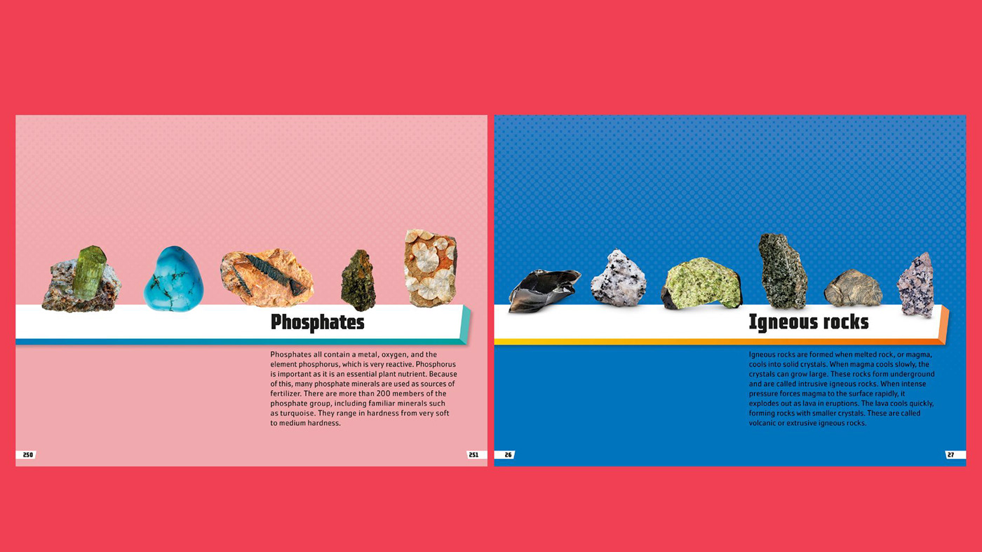 publication design book cover penguin random house book design publishing   childrens books art editor Layout Design Advertising  book spreads