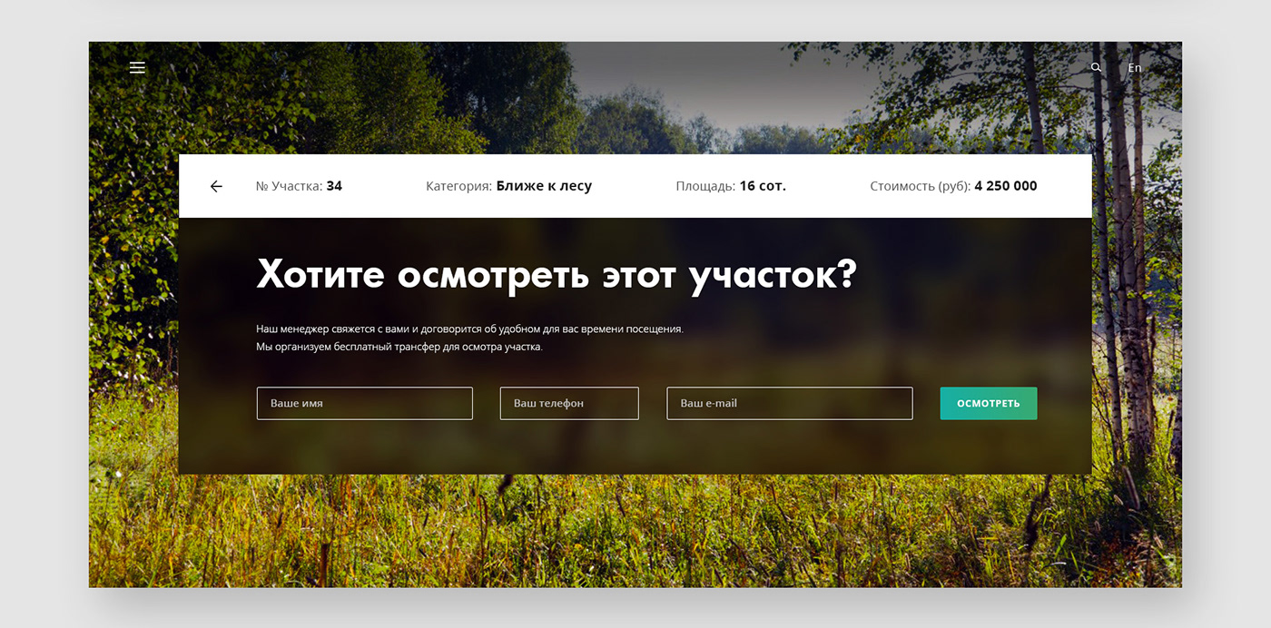 Web design Web Design  Website UI/UX Layout graphic design  Interface forest land