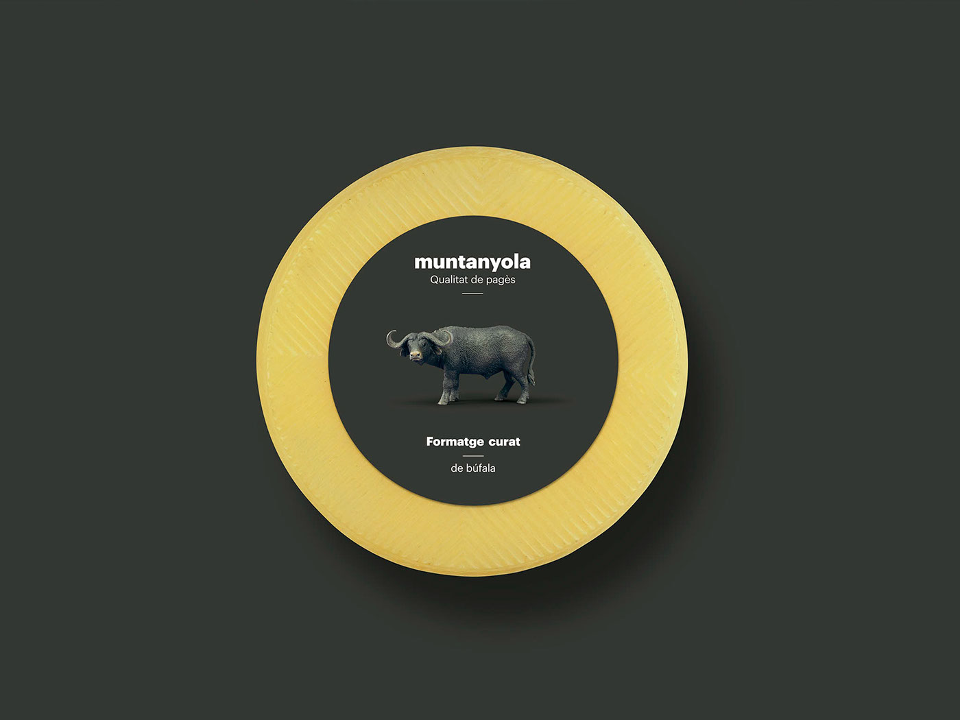 goat cow Buffalo sheep artisan Cheese Label Packaging